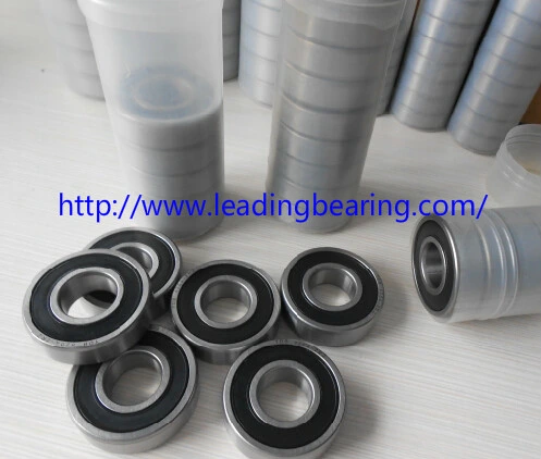 6001 6004 6201 6202 6203 6204 6205 6207 6300 6301 2RS 6302 6305 Deep Groove Ball Bearing